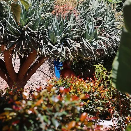 Apartamento Old Fisherman's Corner 16 - Centro Old Town *